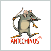 Antechinus j097;vascript Editor - бесплатно скачать на SoftoMania.net