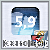 ExperienceIndexOK 1.06 - бесплатно скачать на SoftoMania.net