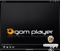 GOM Player 2.2.67.5221 RU