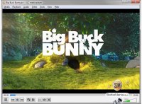 VLC Media Player (VideoLAN) 2.2