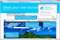 Internet Explorer 11 / 10