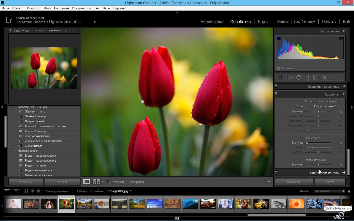 Adobe photoshop lightroom программы для организации изображений